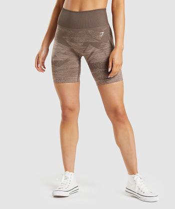 Gymshark Adapt Ombre Seamless Shorts Dam Bruna | SE 2492AHK